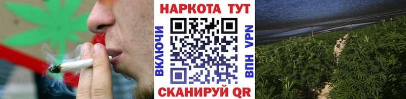 Как найти наркотики Алексин Гашиш  Бошки Шишки  COCAIN  Альфа ПВП  МЕФ 