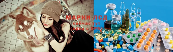 spice Алексеевка
