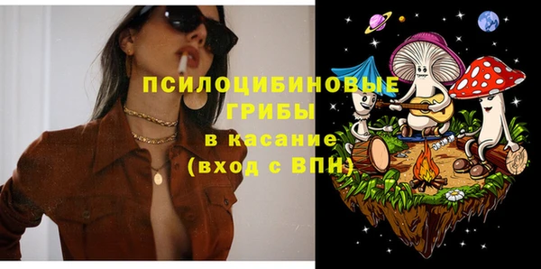 ECSTASY Алзамай