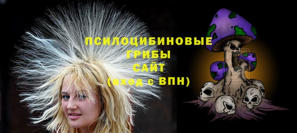 ECSTASY Алзамай