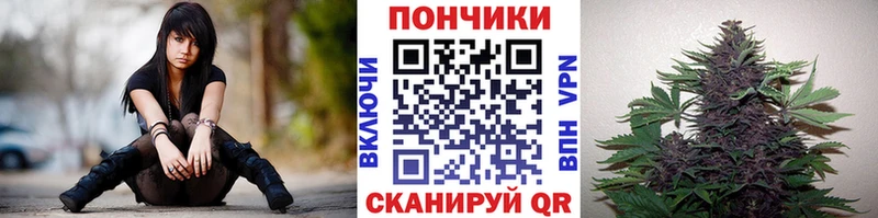где продают   Алексин  МАРИХУАНА SATIVA & INDICA 